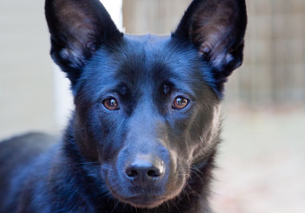 The Grief My Body Remembered (Even When I Forgot)