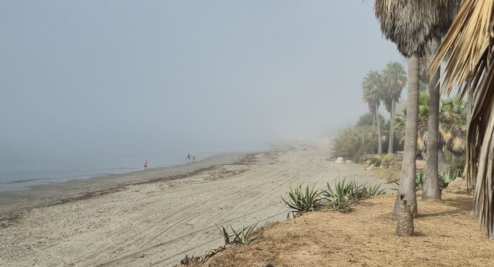 Lifting the Fog